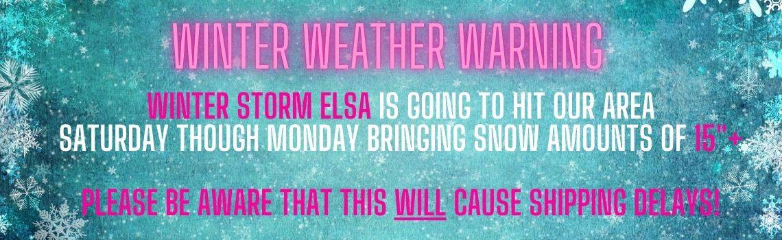 WINTER STORM ELSA