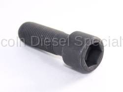 Bolts, Studs, Fasteners - Flex Plate / Flywheel Bolts