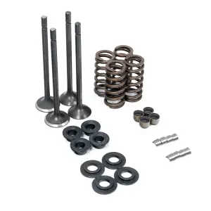 Engine Components - Intake / Exhaust Valves, Lifters & Parts
