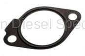 GM - GM OEM Gasket Water Pump to Oil Cooler Tube (2006-2016)