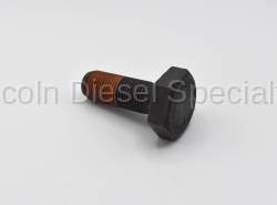 GM - GM Camshaft Gear Bolt (2001-2024)
