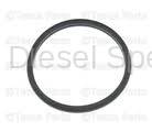 GM - GM OEM Thermo Sensor Seal (2001-2010)