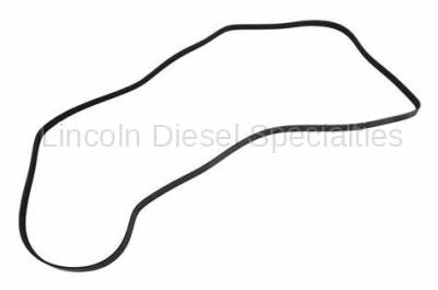 GM - GM OEM L5P Serpentine Belt Primary No Dual Alternators (2020-2023)