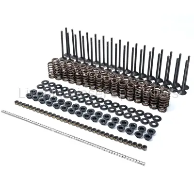 PPE - PPE Performance Duramax Valve and Spring Kit (2001-2016)