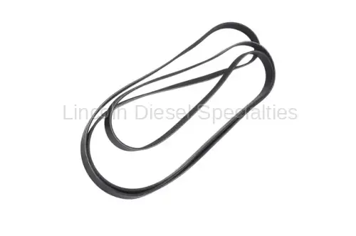 GM - GM OEM L5P Dual Alternator Serpentine Belt (2017-2019)