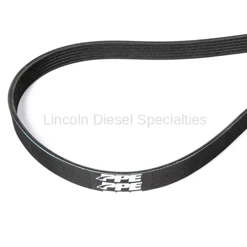PPE - PPE Dual Fueler Serpentine Belt (2002-2004)
