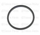 Cooling System - Gaskets &Seals - GM - GM OEM Thermo Sensor Seal (2001-2010)