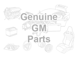 Injector Assembly, High Press Dsl Fuel GM (17-22)
