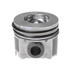 Mahle Piston With Rings Std.Full Set (2003-2007)