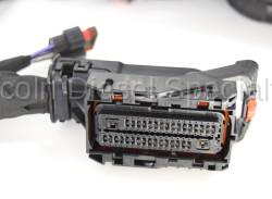 GM - GM OEM L5P Chassis Wiring Harness (2018 & 2019) - Image 3