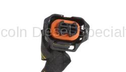 GM - GM Engine Wiring Harness (2011-2016) - Image 6