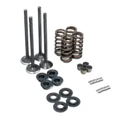 Intake / Exhaust Valves, Lifters & Parts